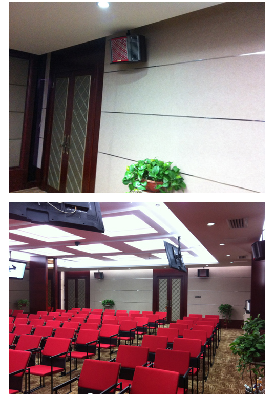 A medical cosmetology hospital conference room sound project